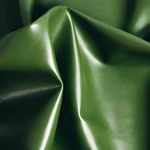 Cactus Leather