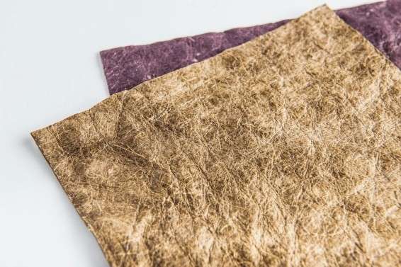 Coconut Leather