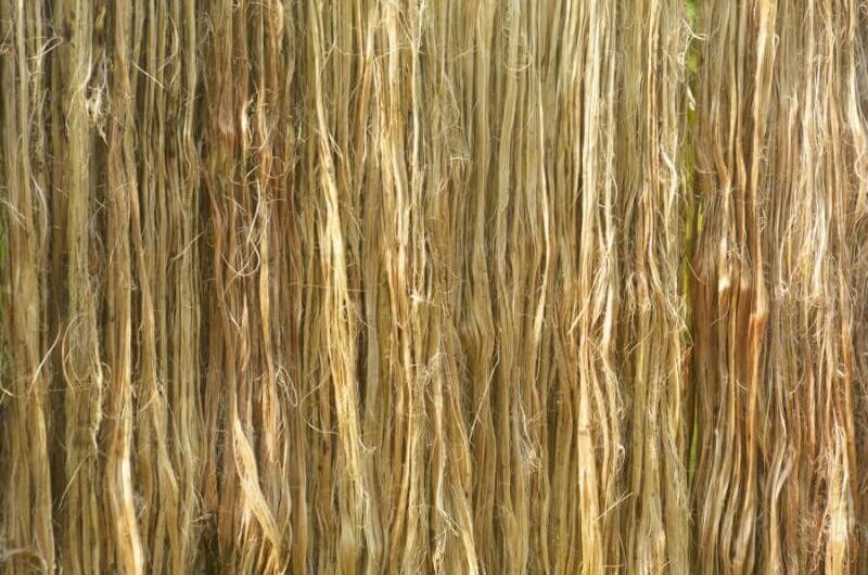 Biobased fabric