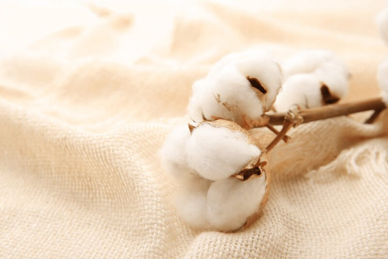 about Recycled Materials-recycled cotton