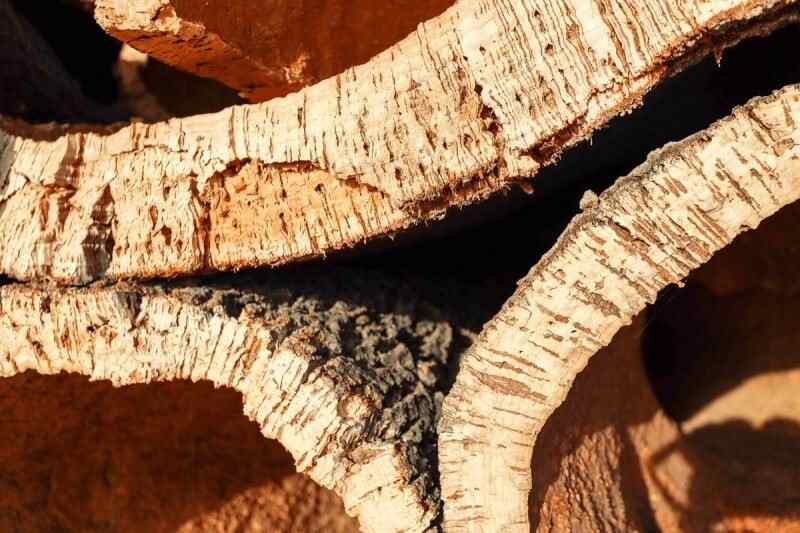 about vegan leather-cork leather