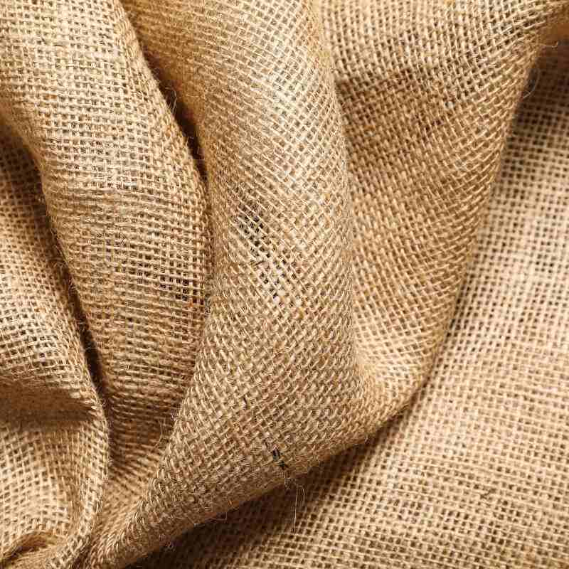 Linen The Gift of Flax