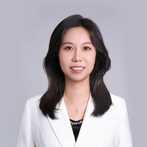 The Sales Manager